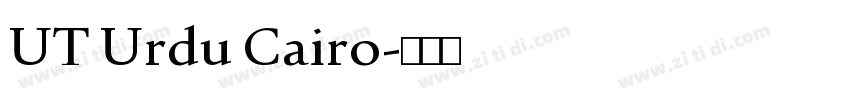 UT Urdu Cairo字体转换